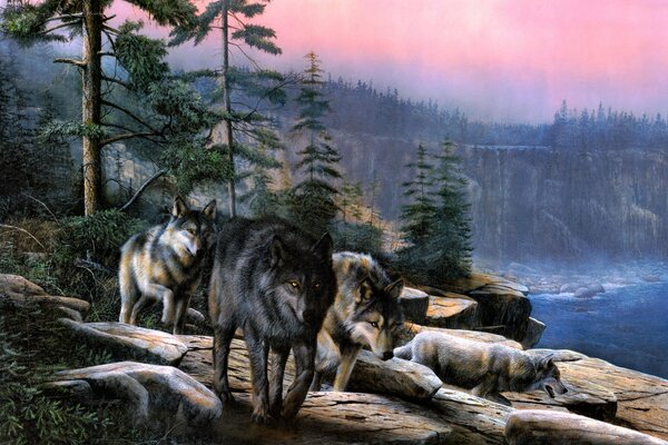 Lobos durmiendo en el bosque al atardecer