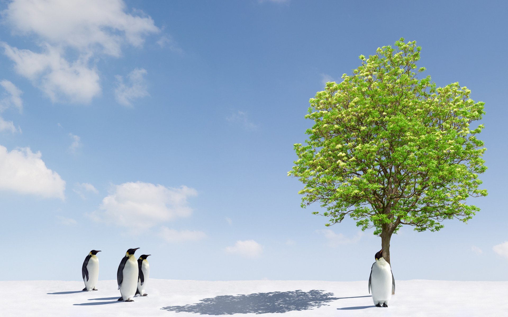 animali pinguini albero alberi neve