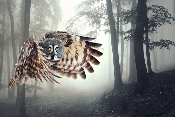 Dark forest art with a flying owl