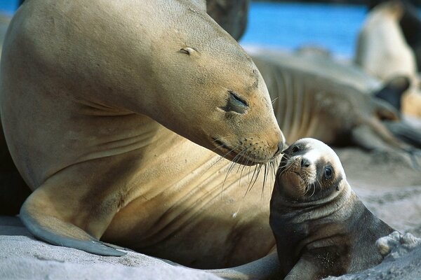 So süß Mama und Baby