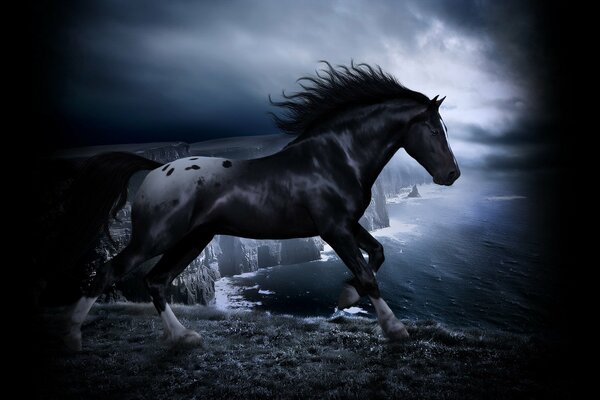 A horse with a beautiful mane on a rock by the sea