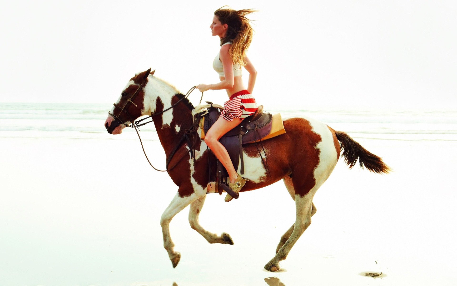 horse model canter extremely romantic