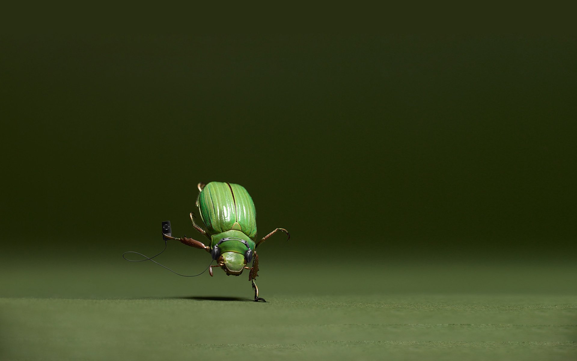 beetle musique danse