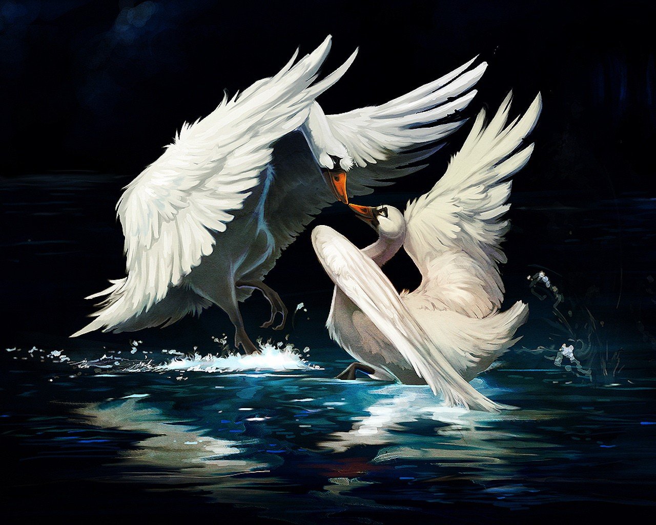 cisnes dibujo