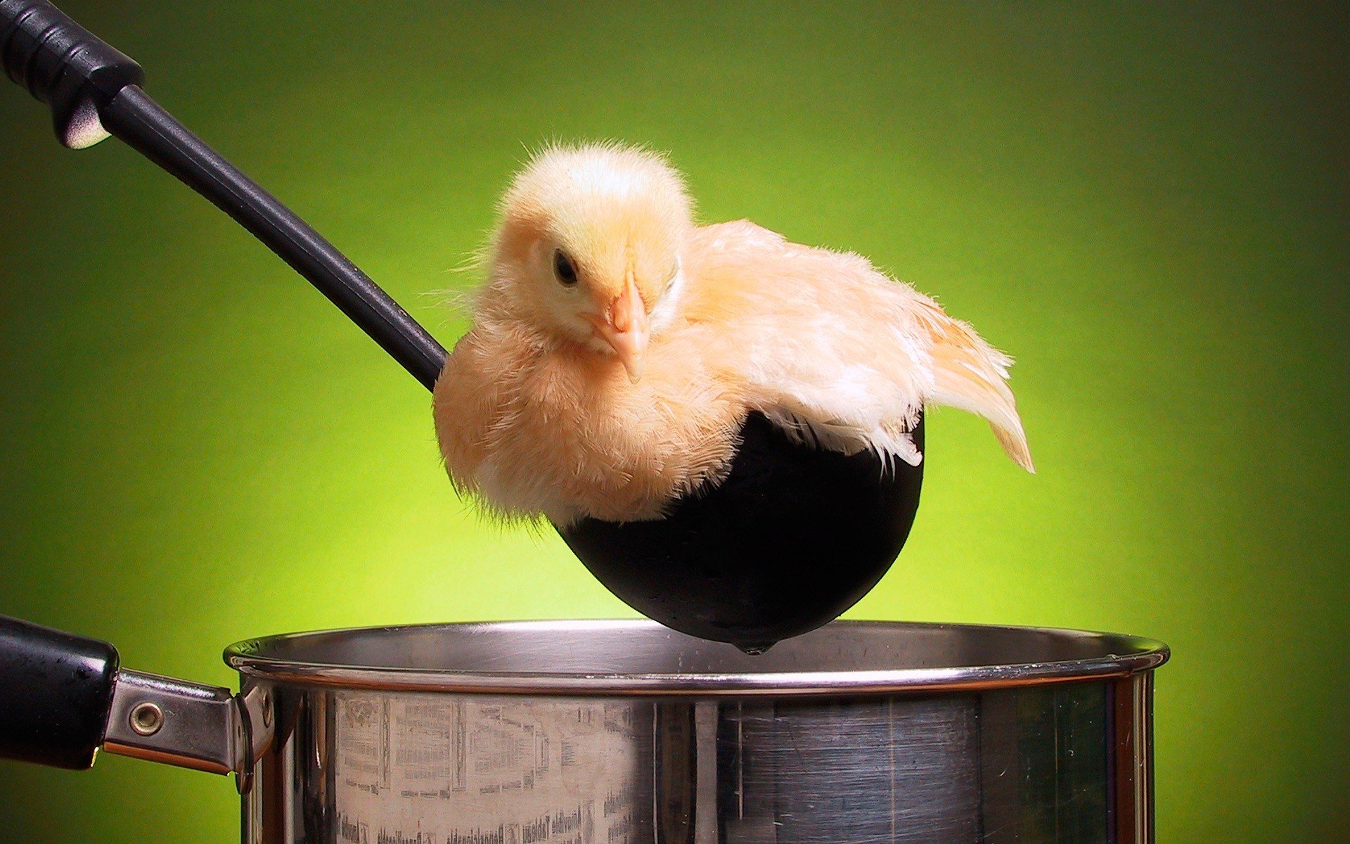 pollo caldo cazuela