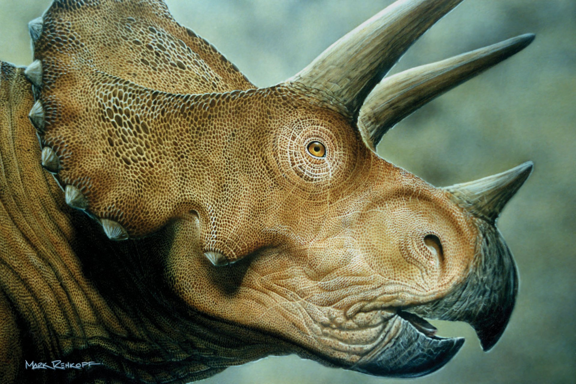 triceratops dinosaurio mrodaha