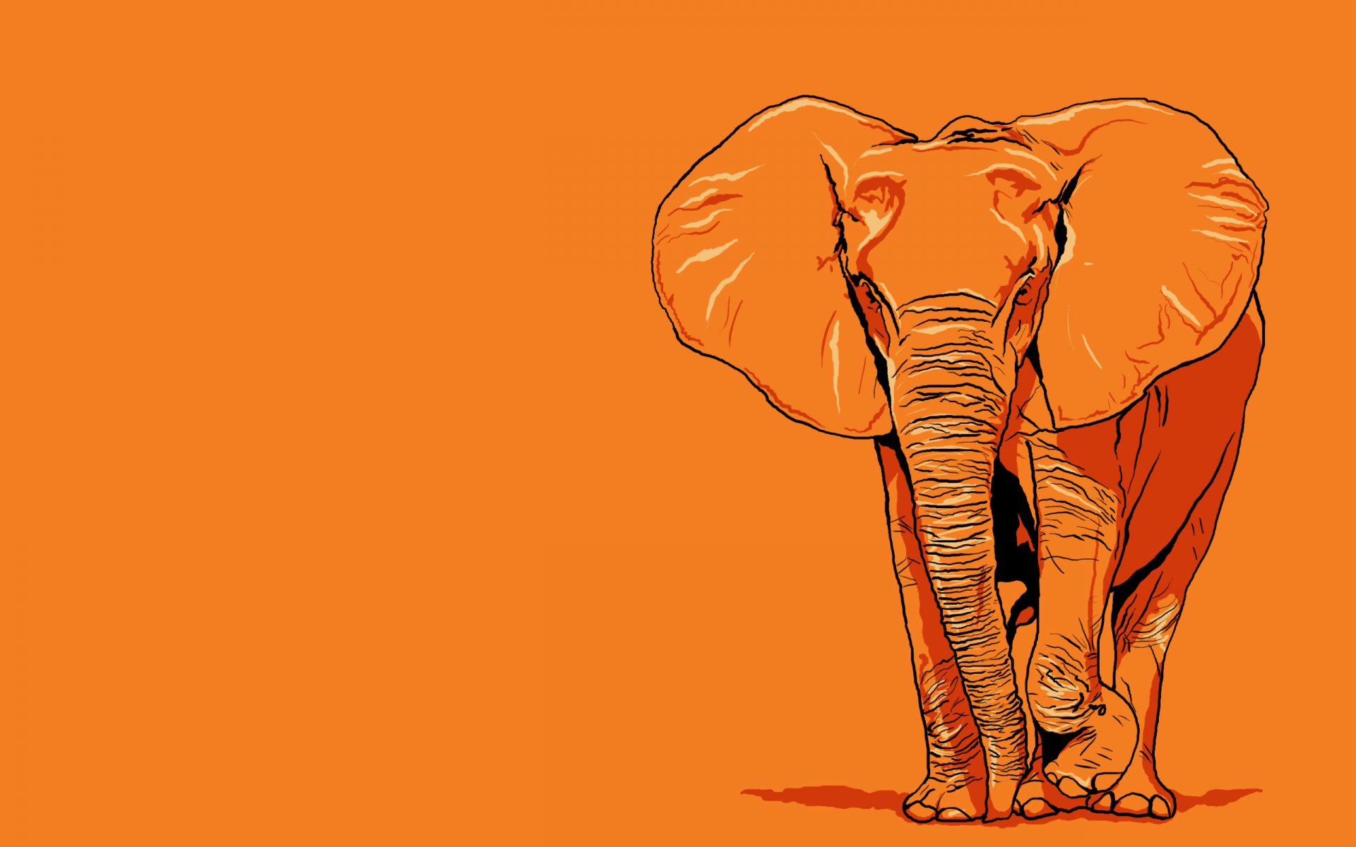 elefant riese orange