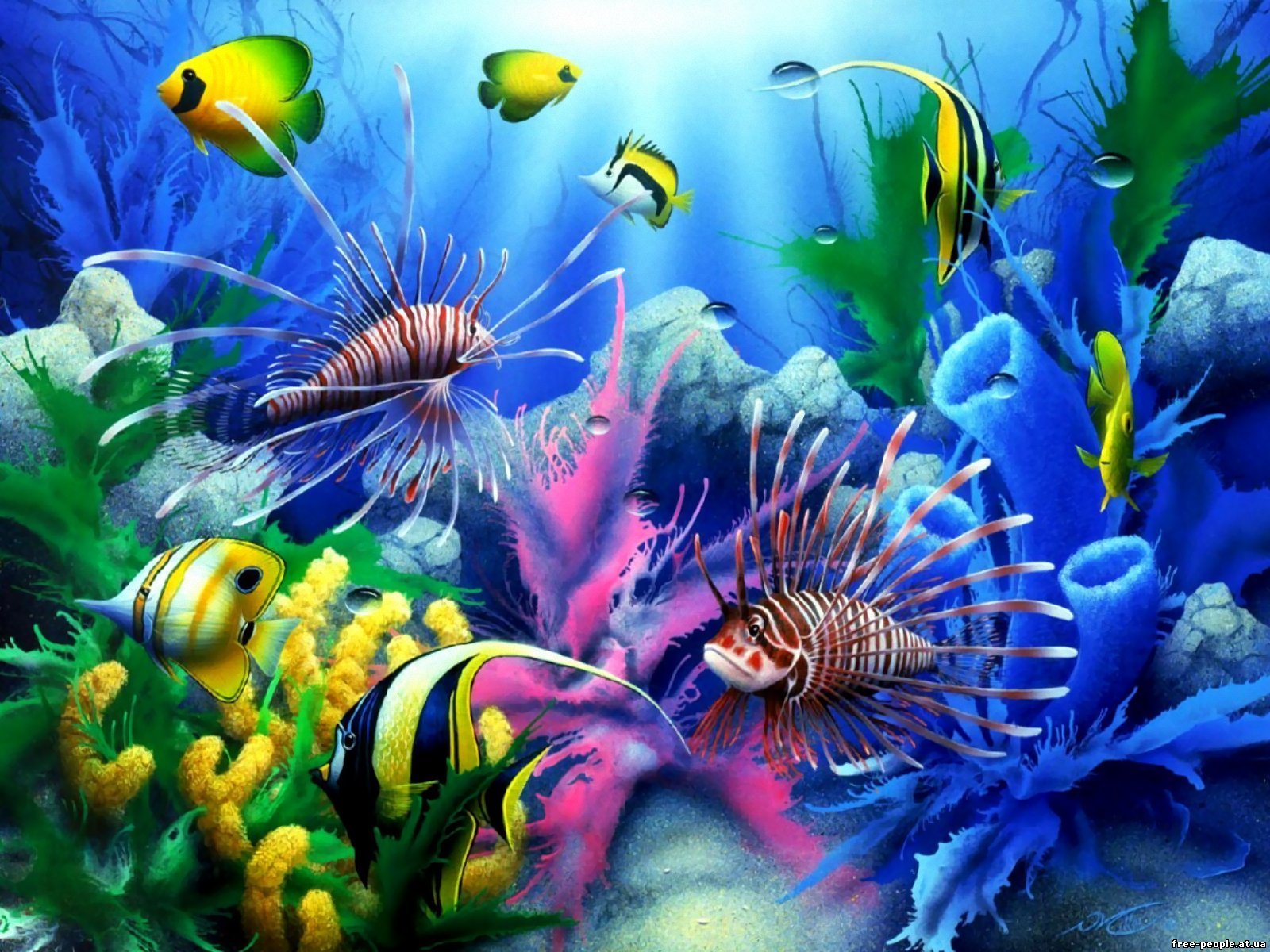 ea fish underwater world