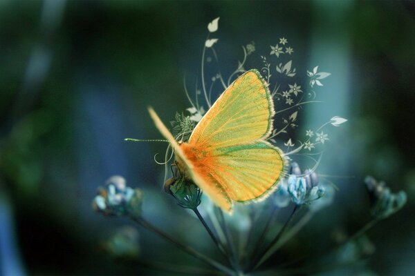 Gelber Schmetterling auf einem gemusterten unscharfen Hintergrund