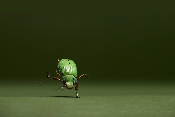 Un escarabajo verde bailando en una pata