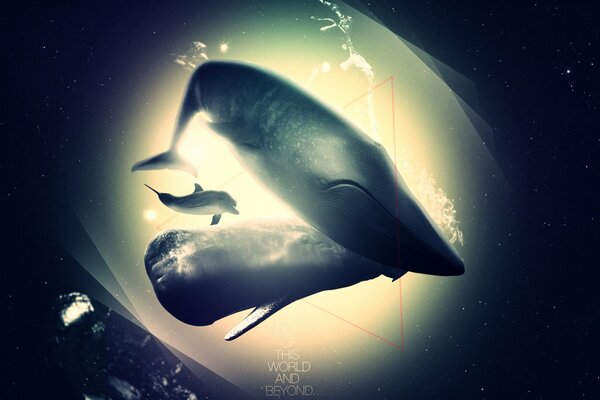 A fantasy image of dolphins and a whale in the sea abyss