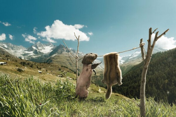 Ein Gopher trocknet seine Haut in der Sonne