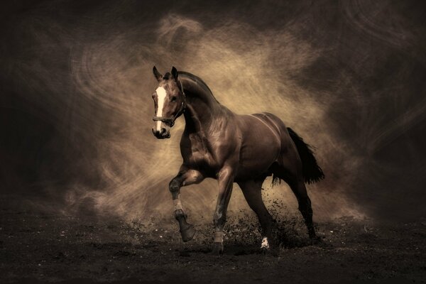 Caballo de color marrón en el humo