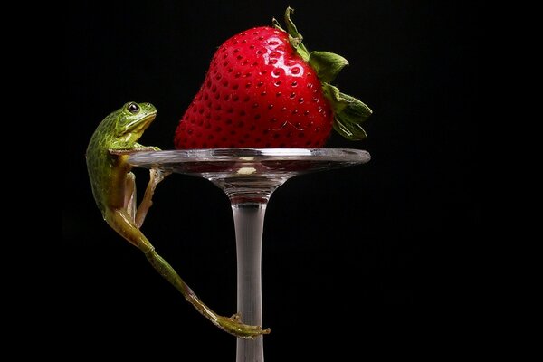 Fraise juteuse avec grenouille sur fond noir