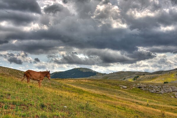 En el campo a la espera de una tormenta