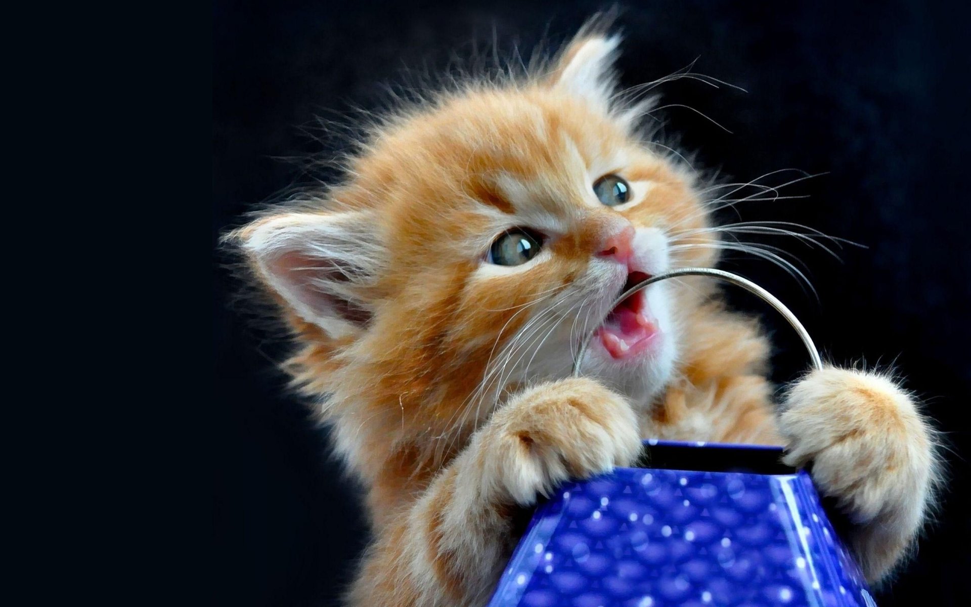 red striped furry background