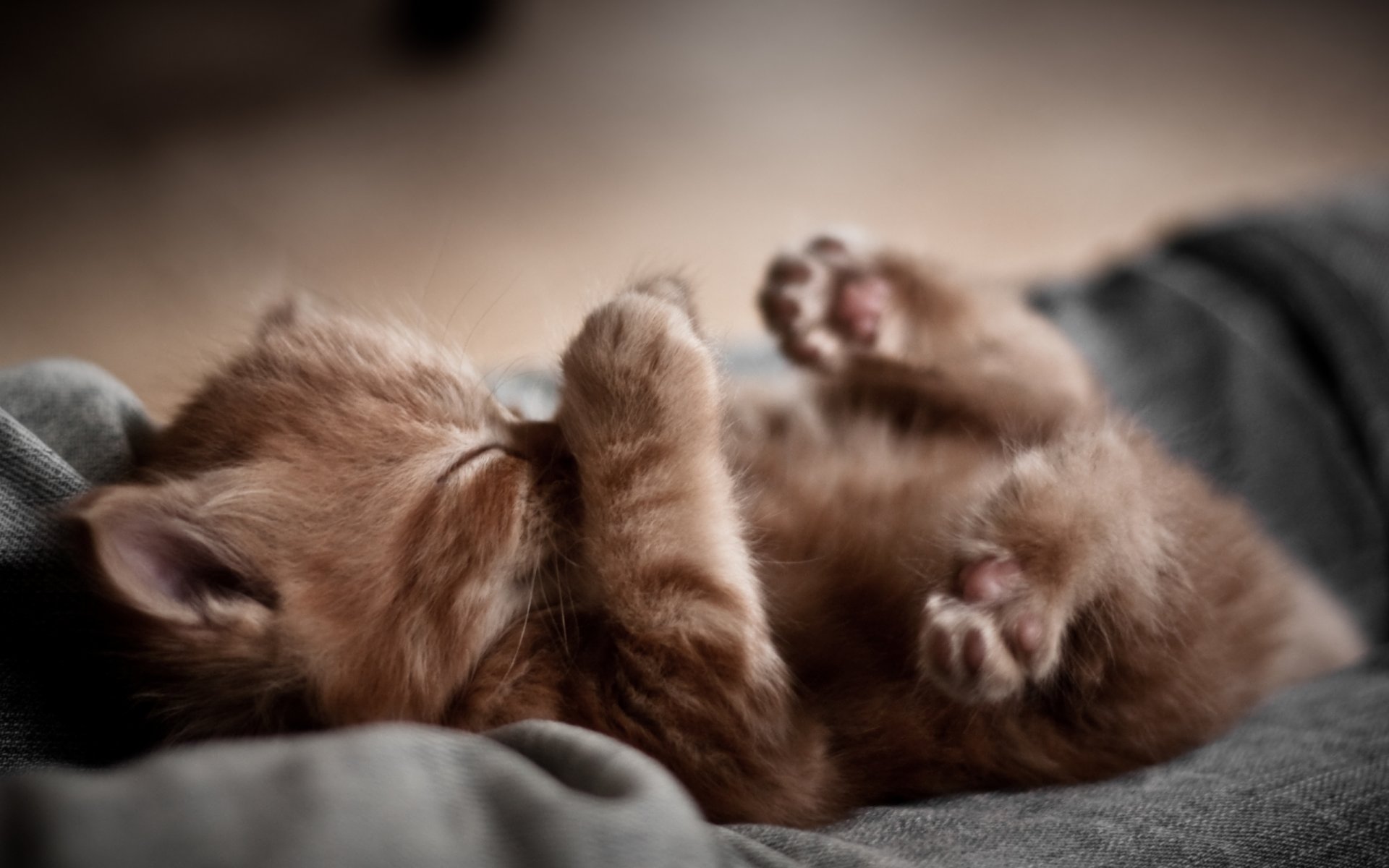 bébé rousse dormir pieds jeans