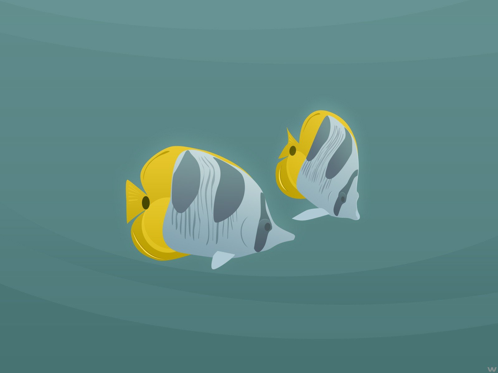 peces vector minimalismo