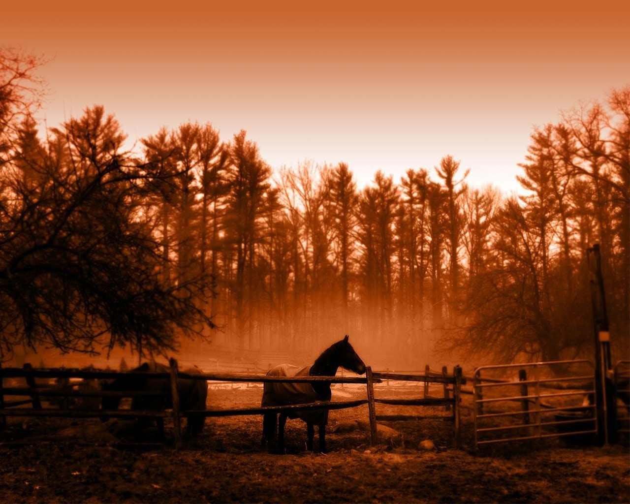 caballo árboles sepia