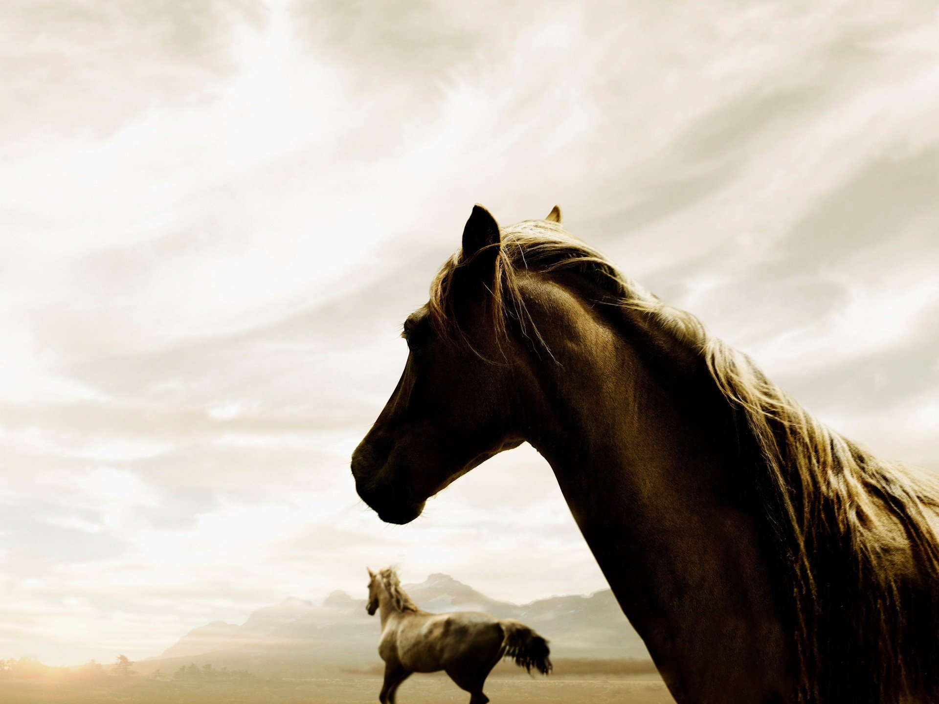 horse sky fog