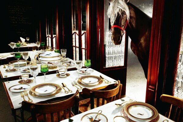 Photo du restaurant et du cheval