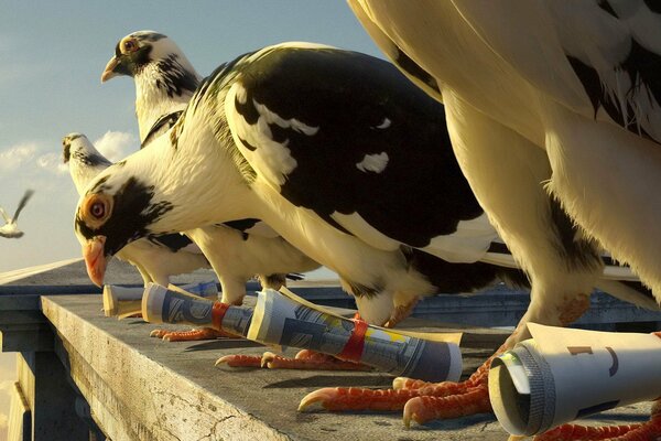 A pigeon flies to the balcony with a letter