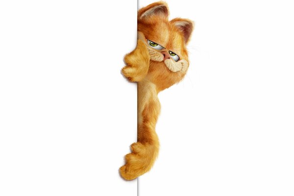 Rothaarige Katze Garfield auf weißem Hintergrund