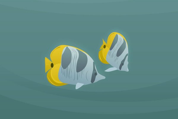 Two fish swimming picture