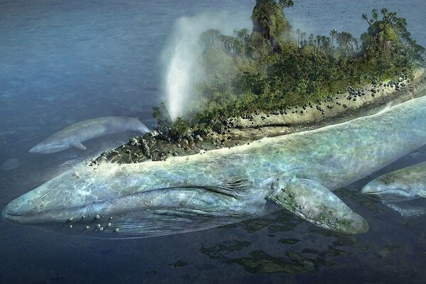 Floating island and whales