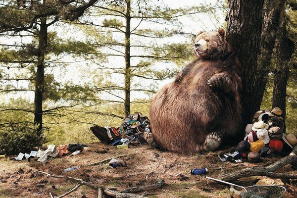 L ours a mangé des touristes et a gonflé comme une boule. Humour