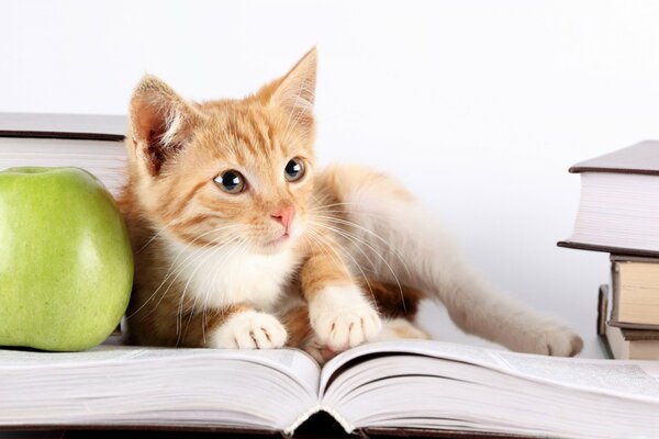 The cat is lying with a green apple on the book