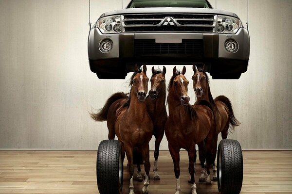 Horses carry a car across the parquet