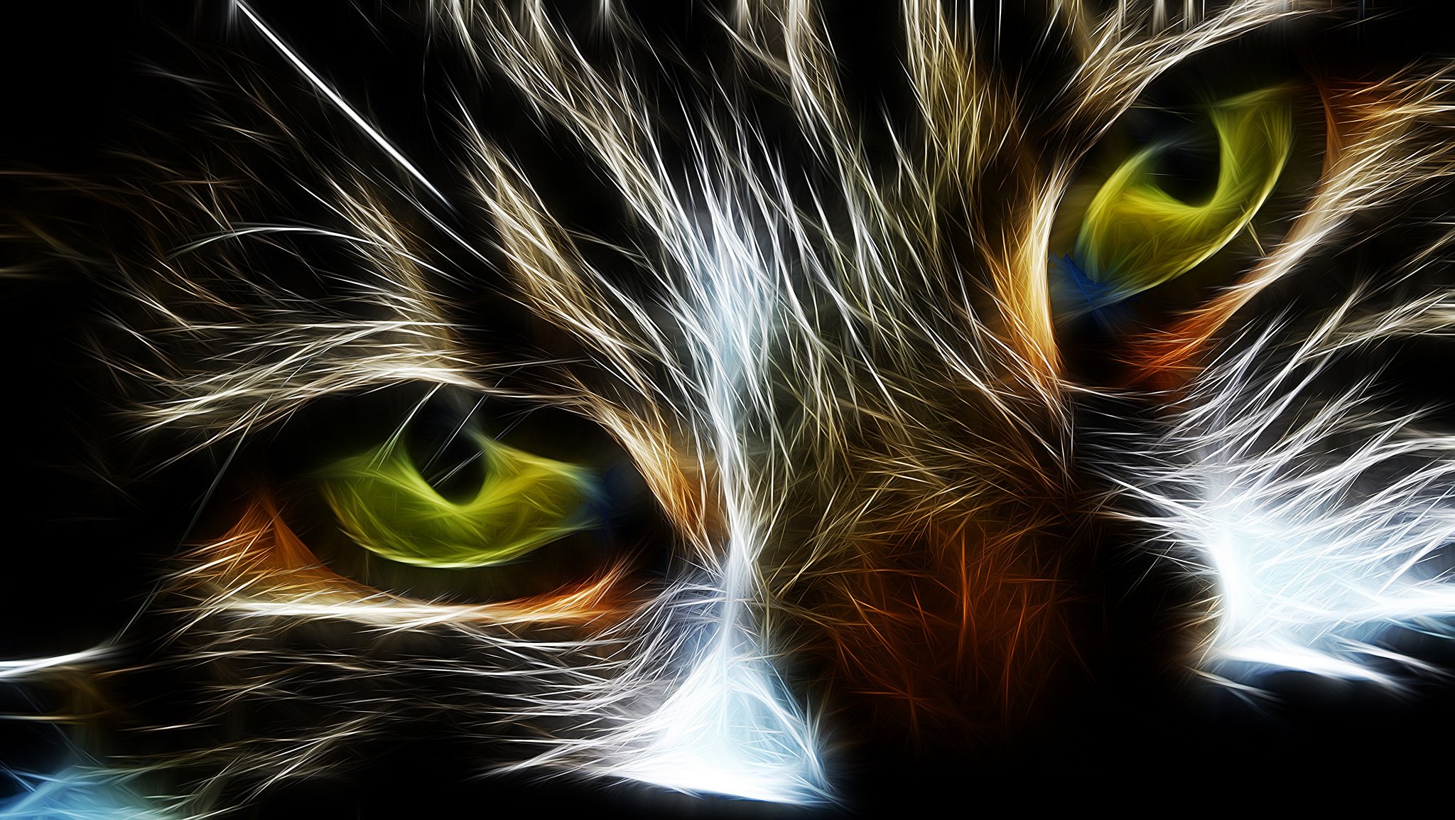 eyes cat cat abstraction