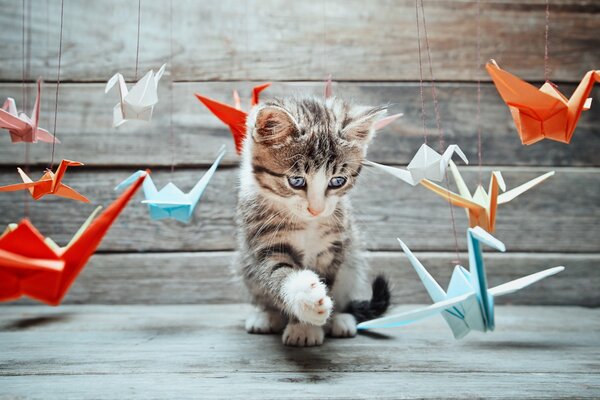 Cute kitten playing with paper birds