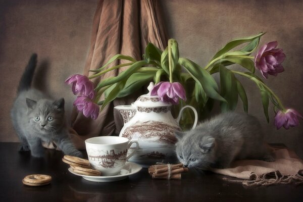 Chatons sur la table de fleurs de biscuits