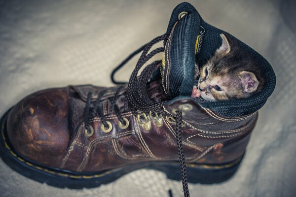 Der Schuh für den Winter ist bereits 5 Jahre alt, um einen rein scheinbaren Chtoli zu tragen