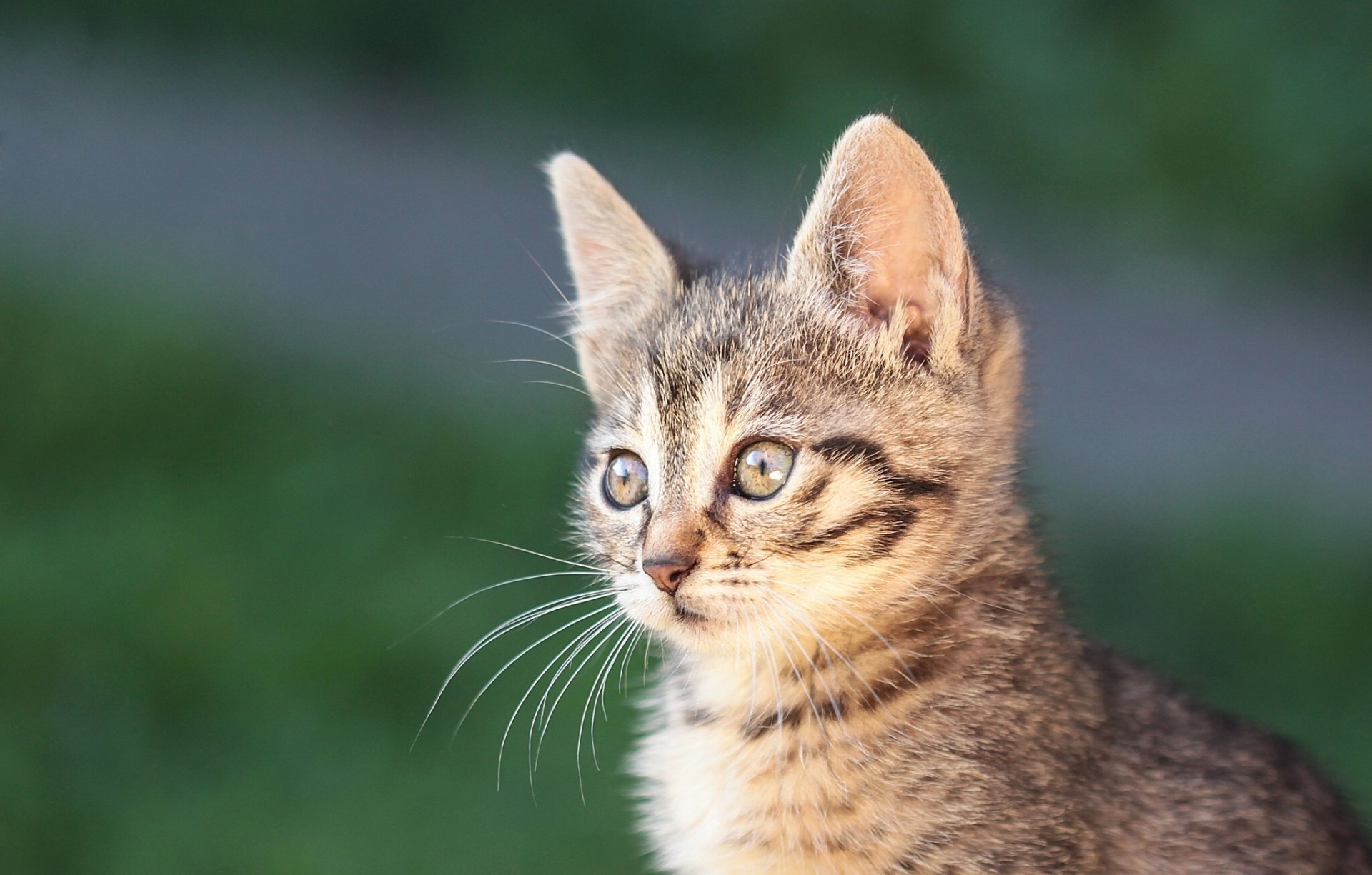 bébé portrait