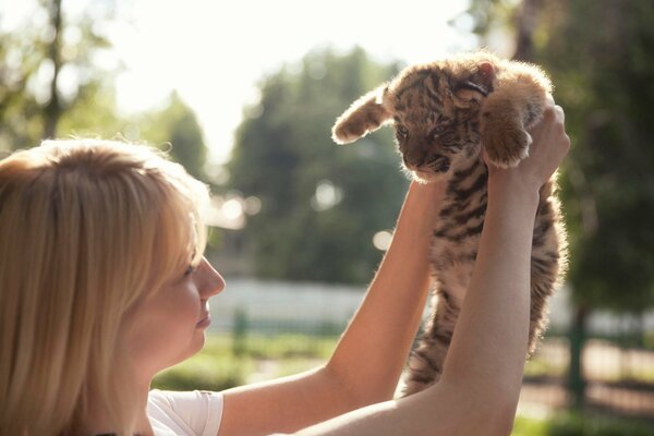 Niña levanta un cachorro de tigre en sus brazos