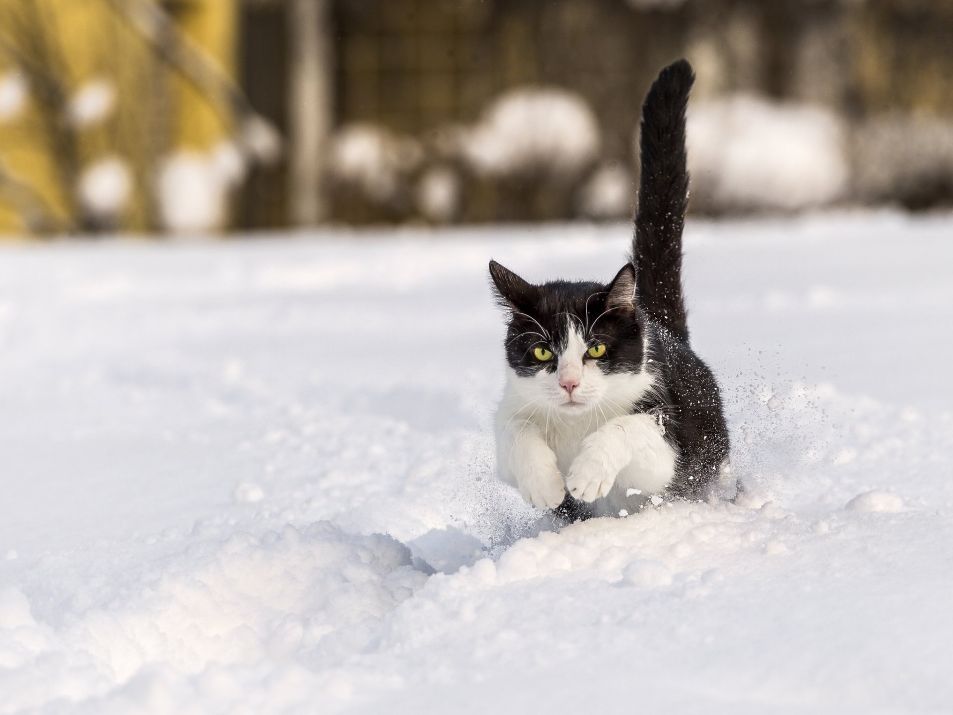 winter schnee joggen