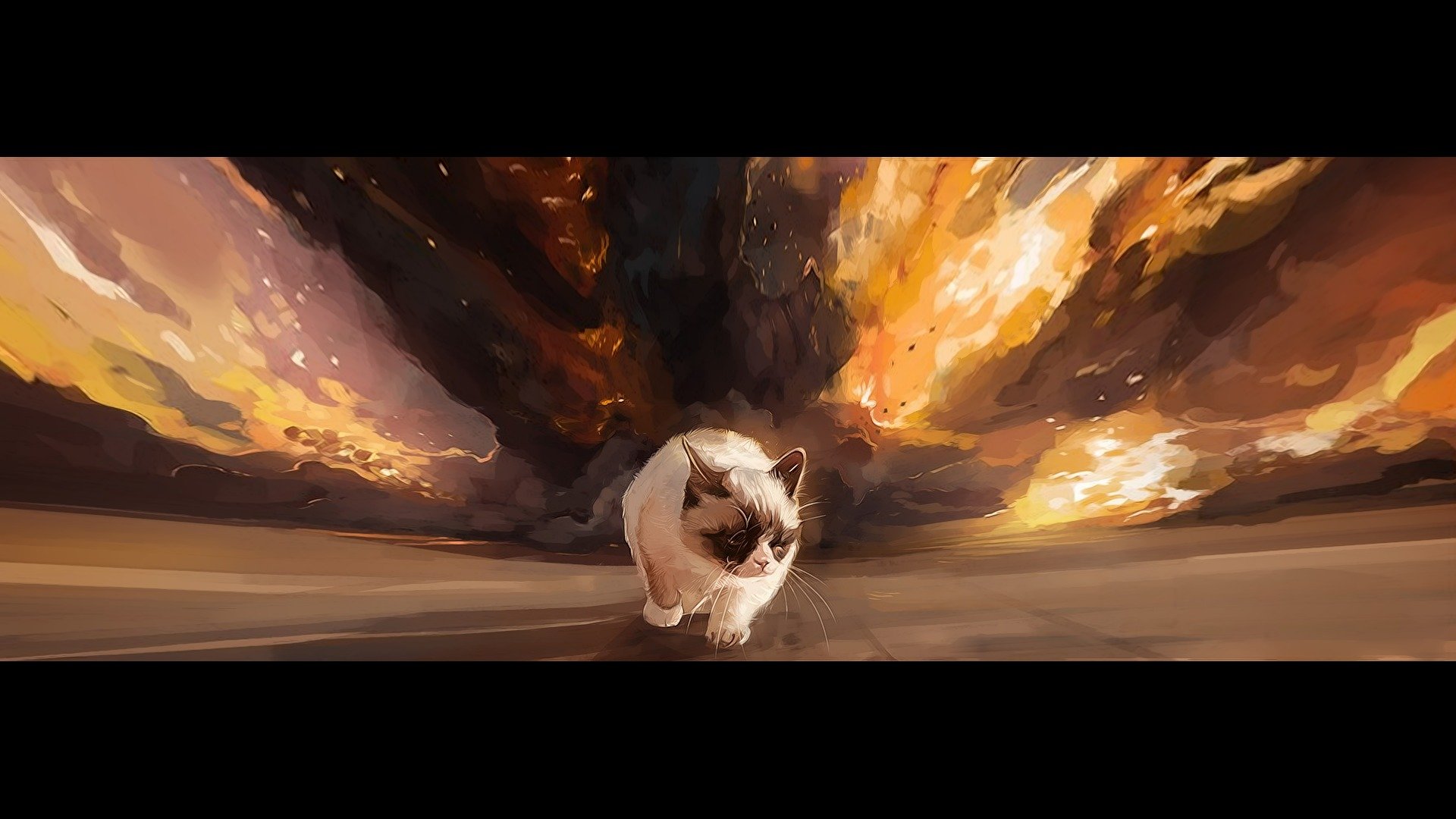 grumpy cat tarde surly cat gait background explosion