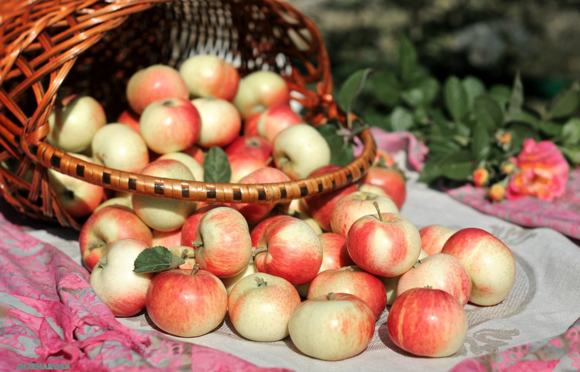 food apple apples shopping basket wallpaper widescreen full screen hd wallpapers background fullscreen