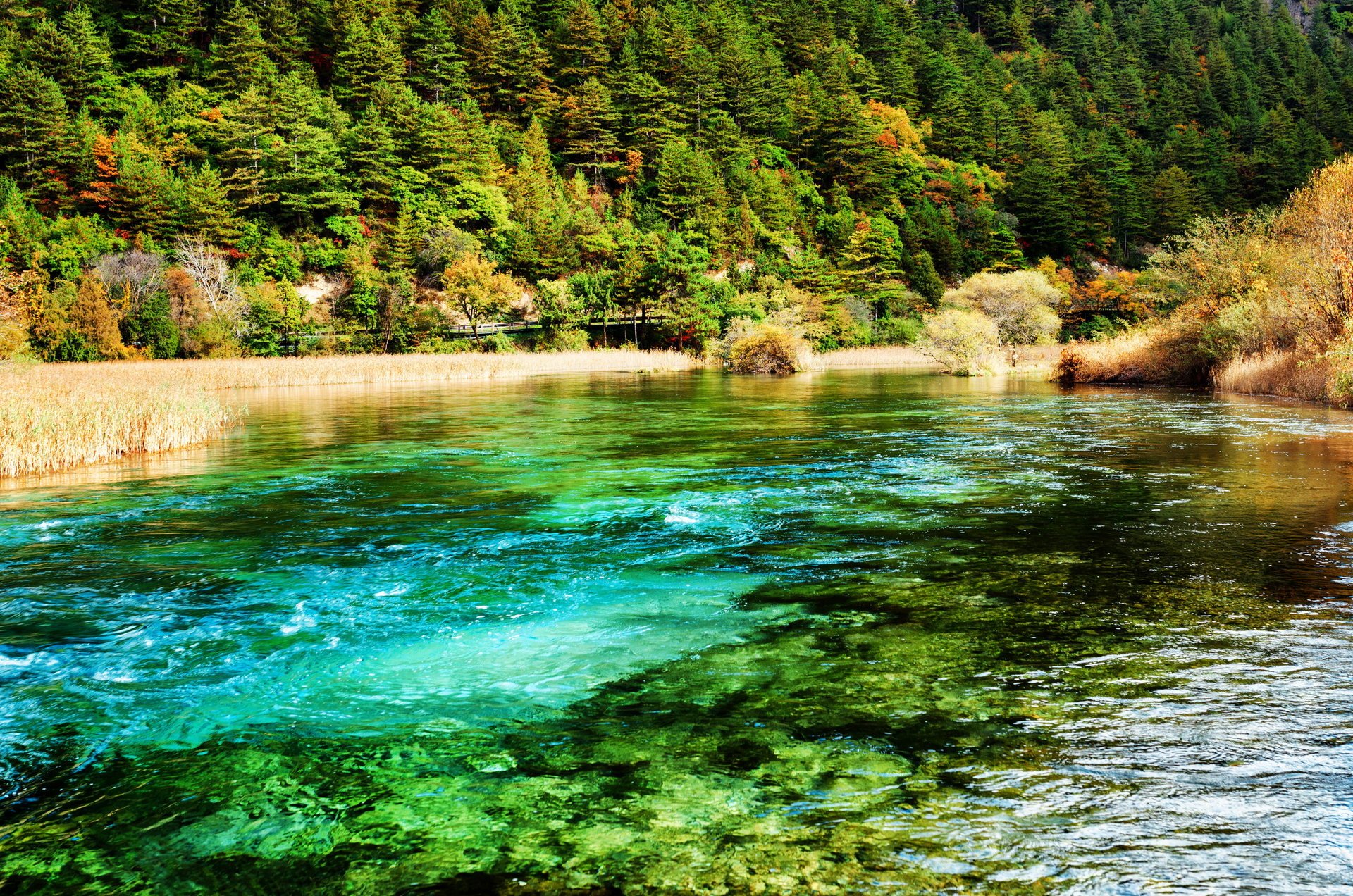 jiuzhaigou parco nazionale cina fiume parco foresta natura