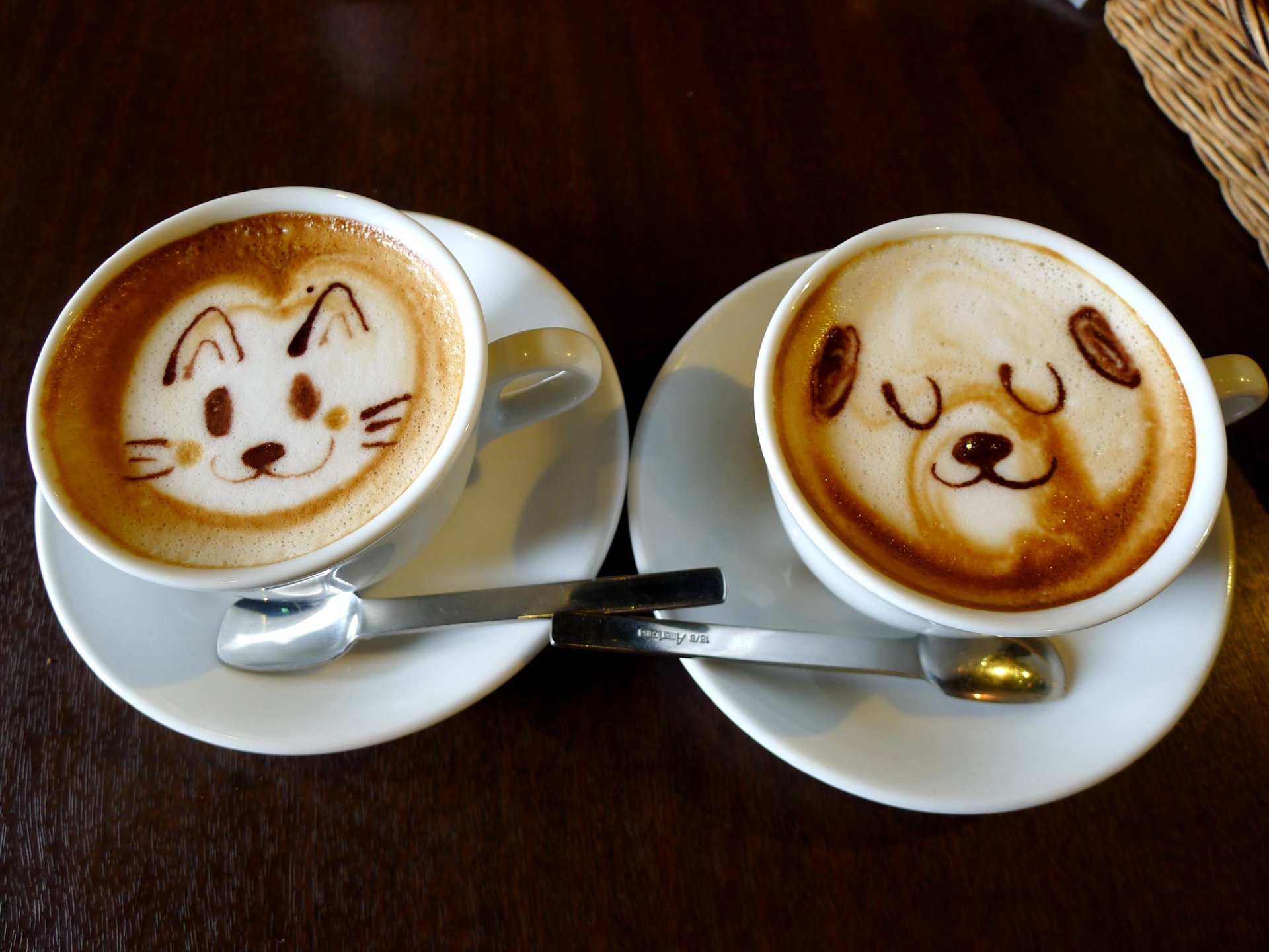 café chien nourriture