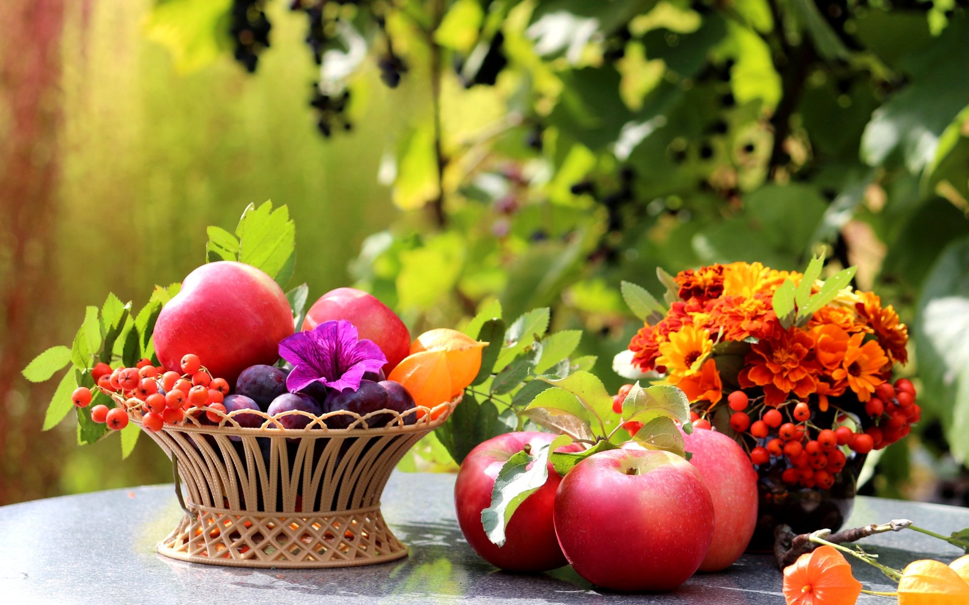 mesa cesta frutas manzanas ciruelas serbal flores hojas naturaleza muerta