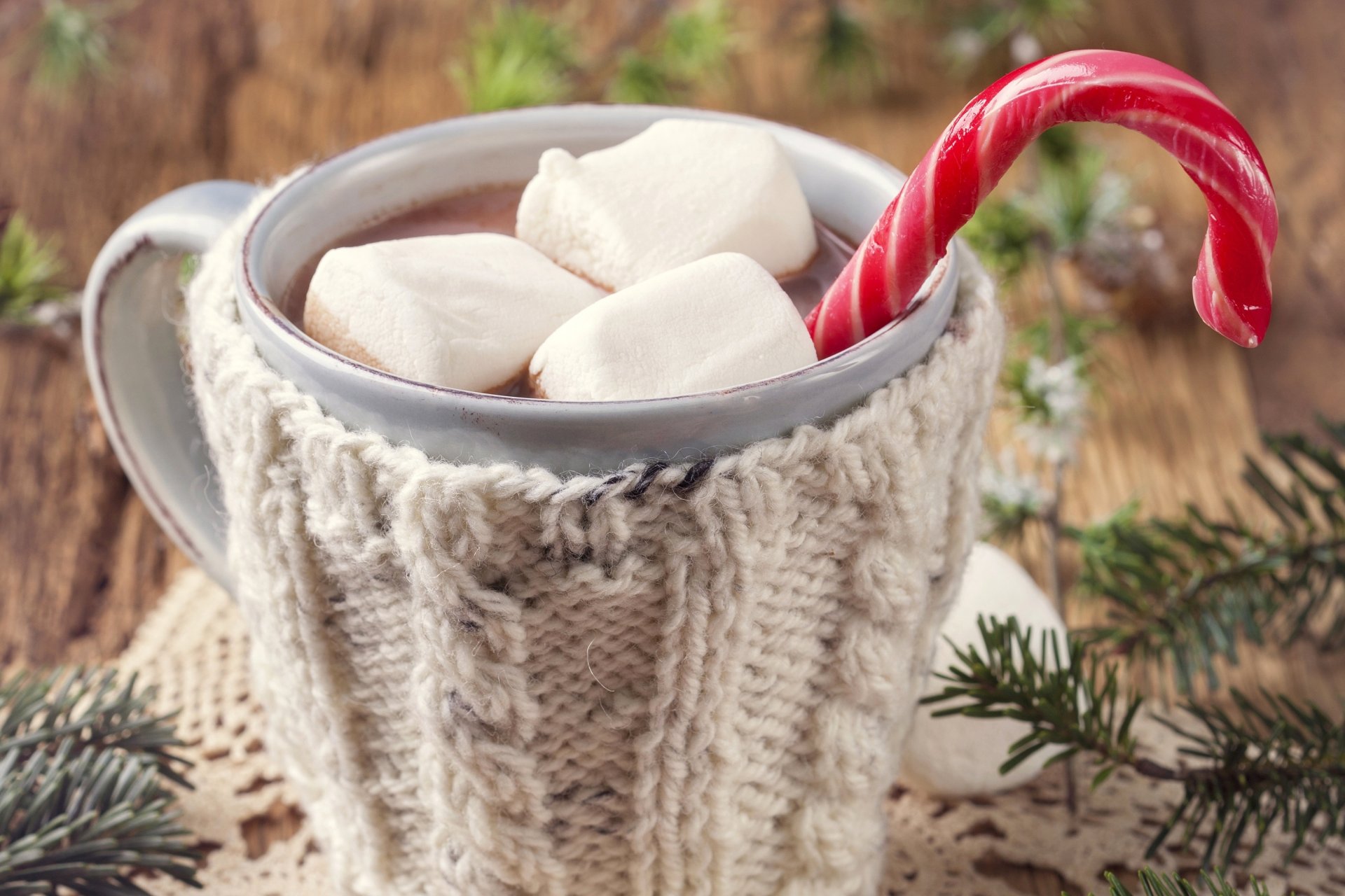 malvavisco dulces malvavisco piruleta bastón palo comida taza cacao ramas abeto invierno año nuevo navidad