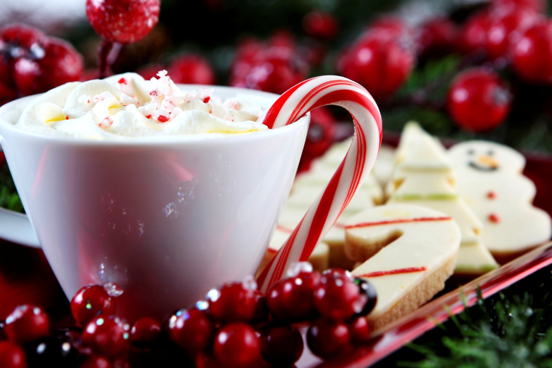 tazza bevanda crema lecca-lecca caramella bastone bastone biscotti cottura agrifoglio agrifoglio vacanze inverno capodanno natale