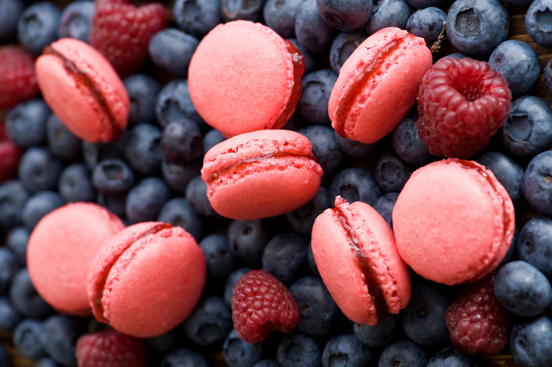 cookies pink macaron macaroon berries raspberry blueberries anna verdina