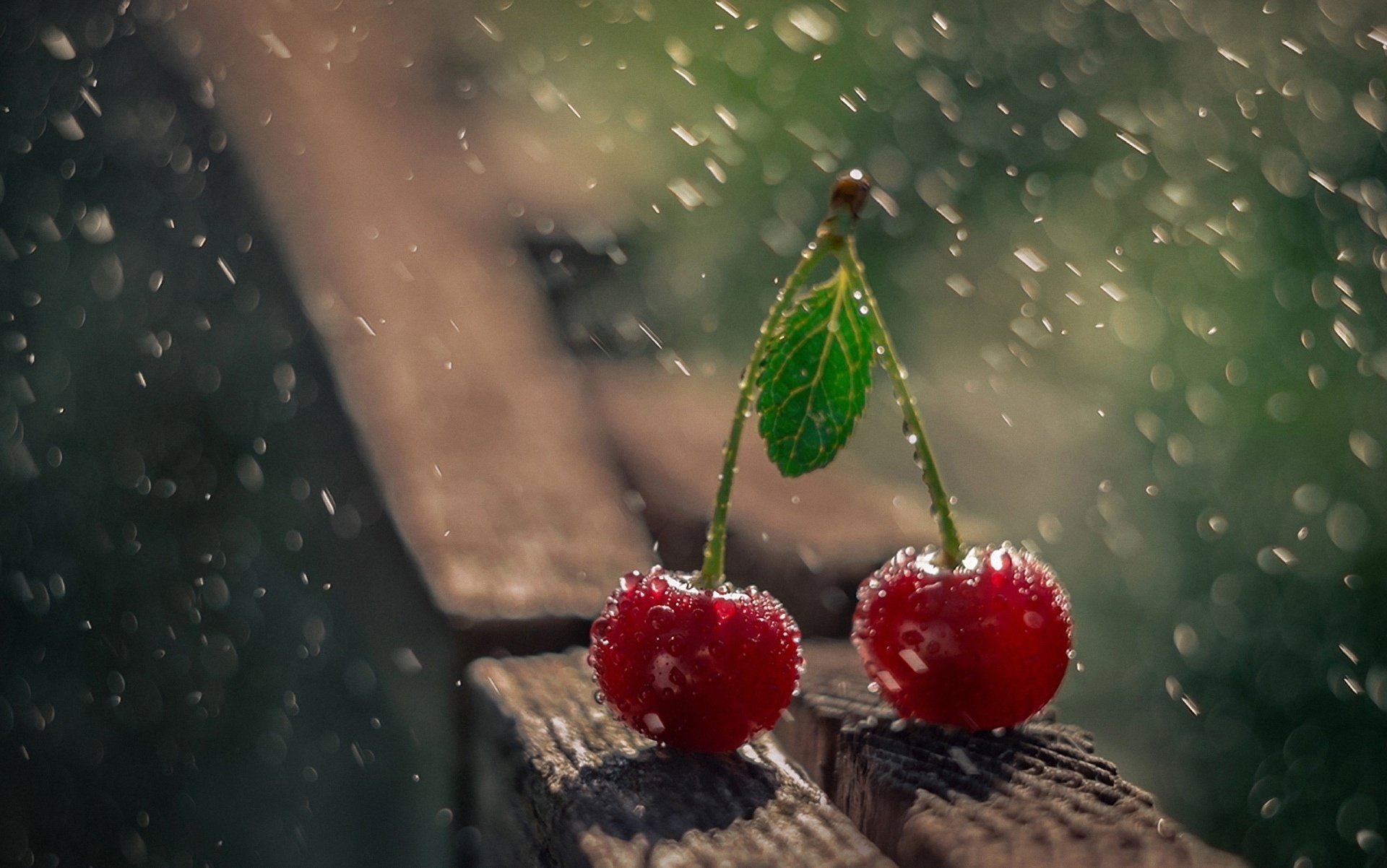 cherry rain macro