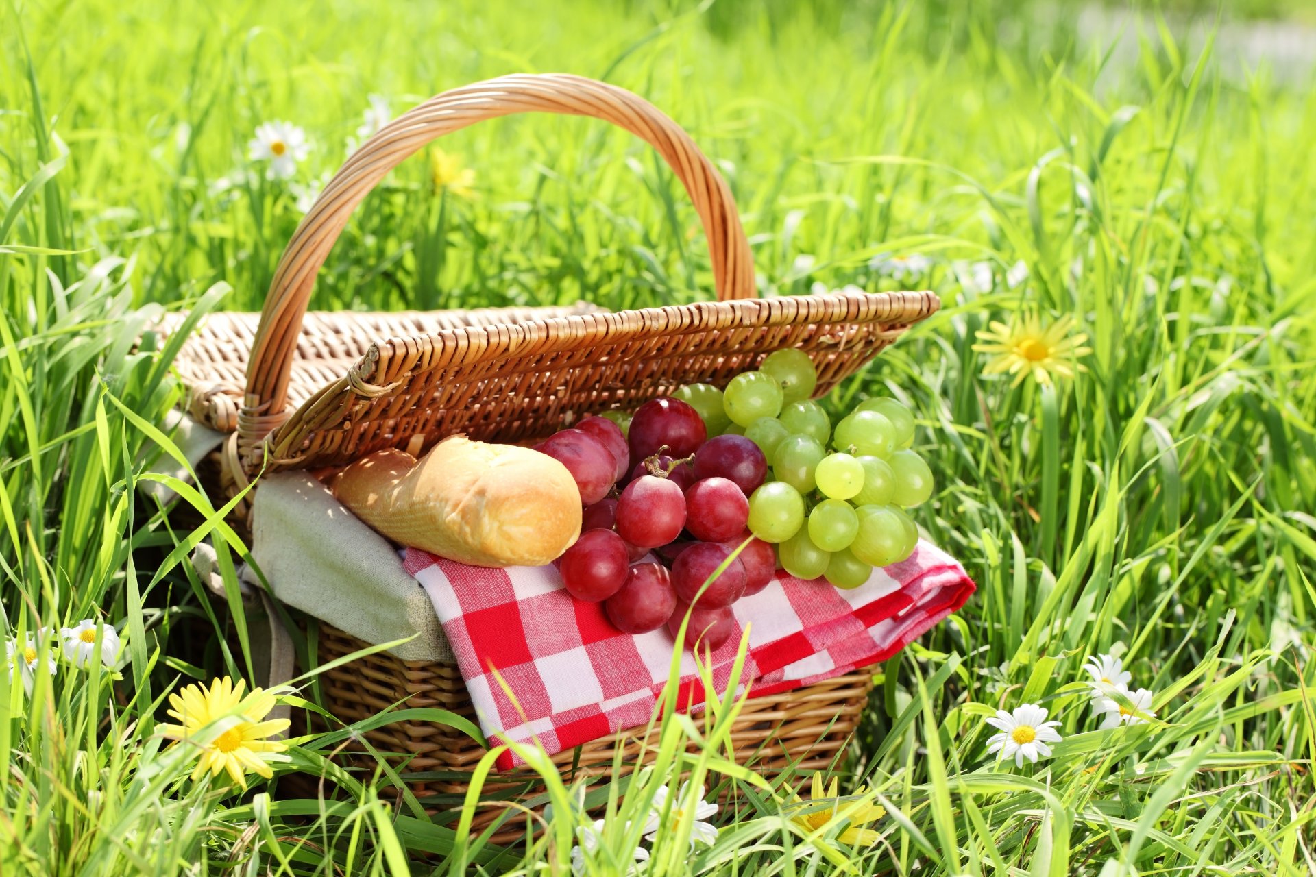 grapes bread baton shopping grass chamomile picnic summer