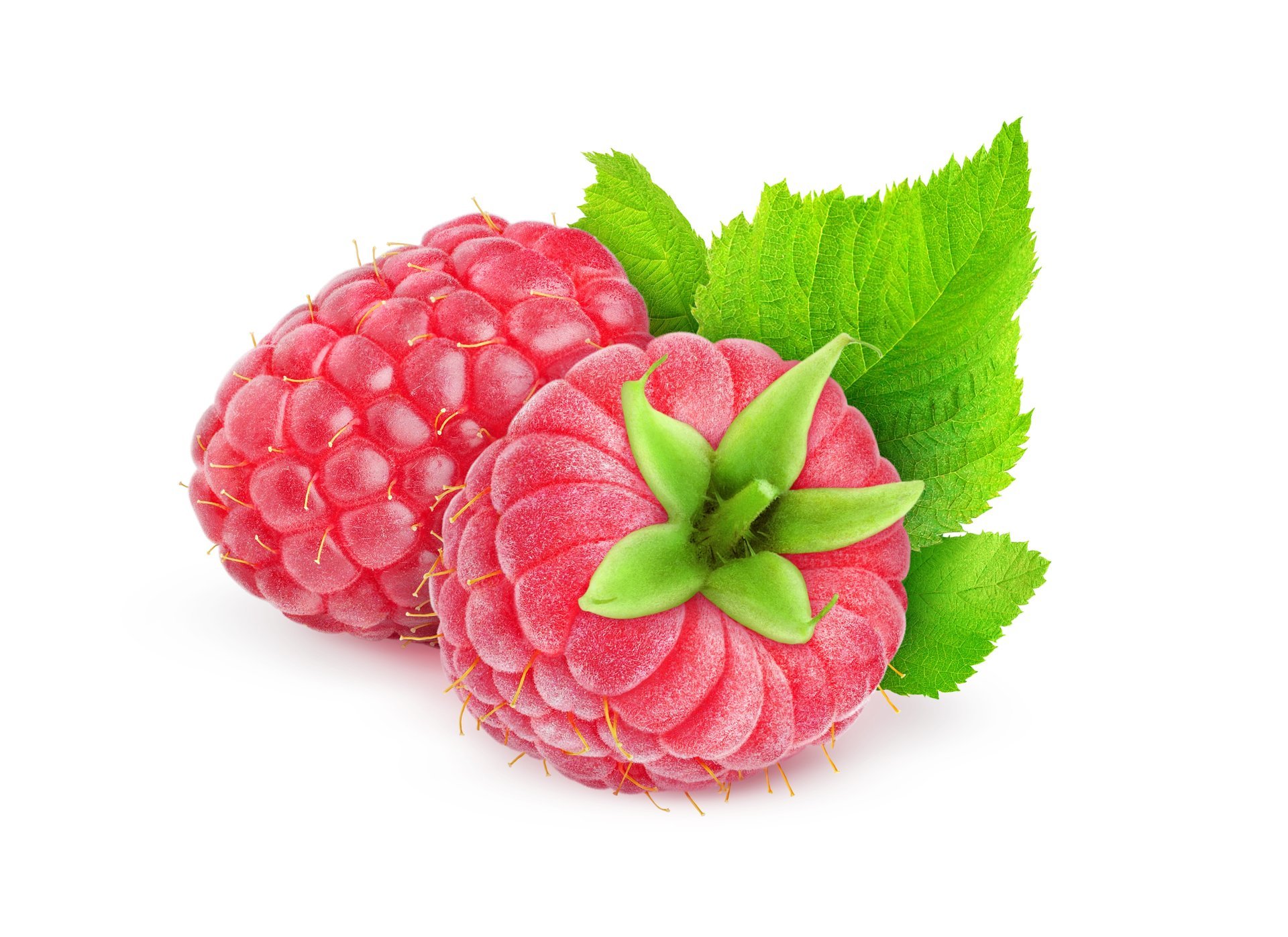 framboise baie framboise rouge vert blanc